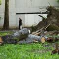 Park mladenaca u Zagrebu još nije počišćen od oluje iz srpnja