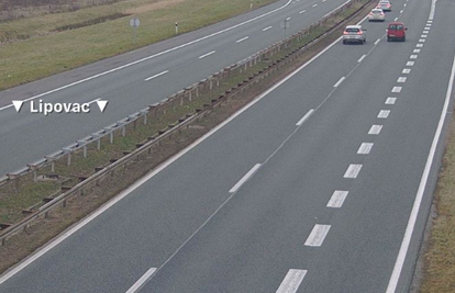Na autocesti A1 divlja svinja, zbog nesreće na A3 vozi se usporeno, jednim trakom