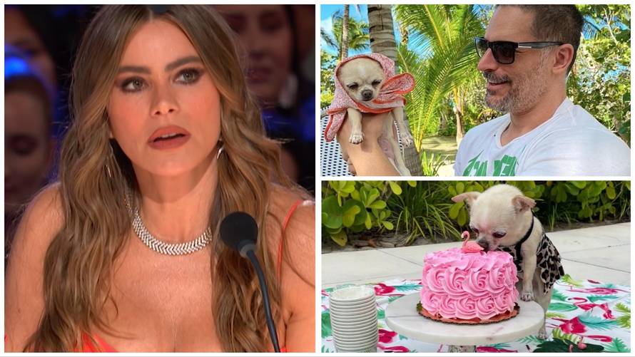 Sofia Vergara: 'Kuja mi je uzela sve, mog muža, moj krevet!'