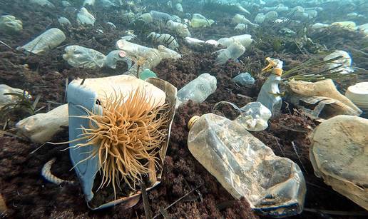 Institut Ruđer Bošković razvio novu metodu razgradnje PET plastike: Promijenit će svijet