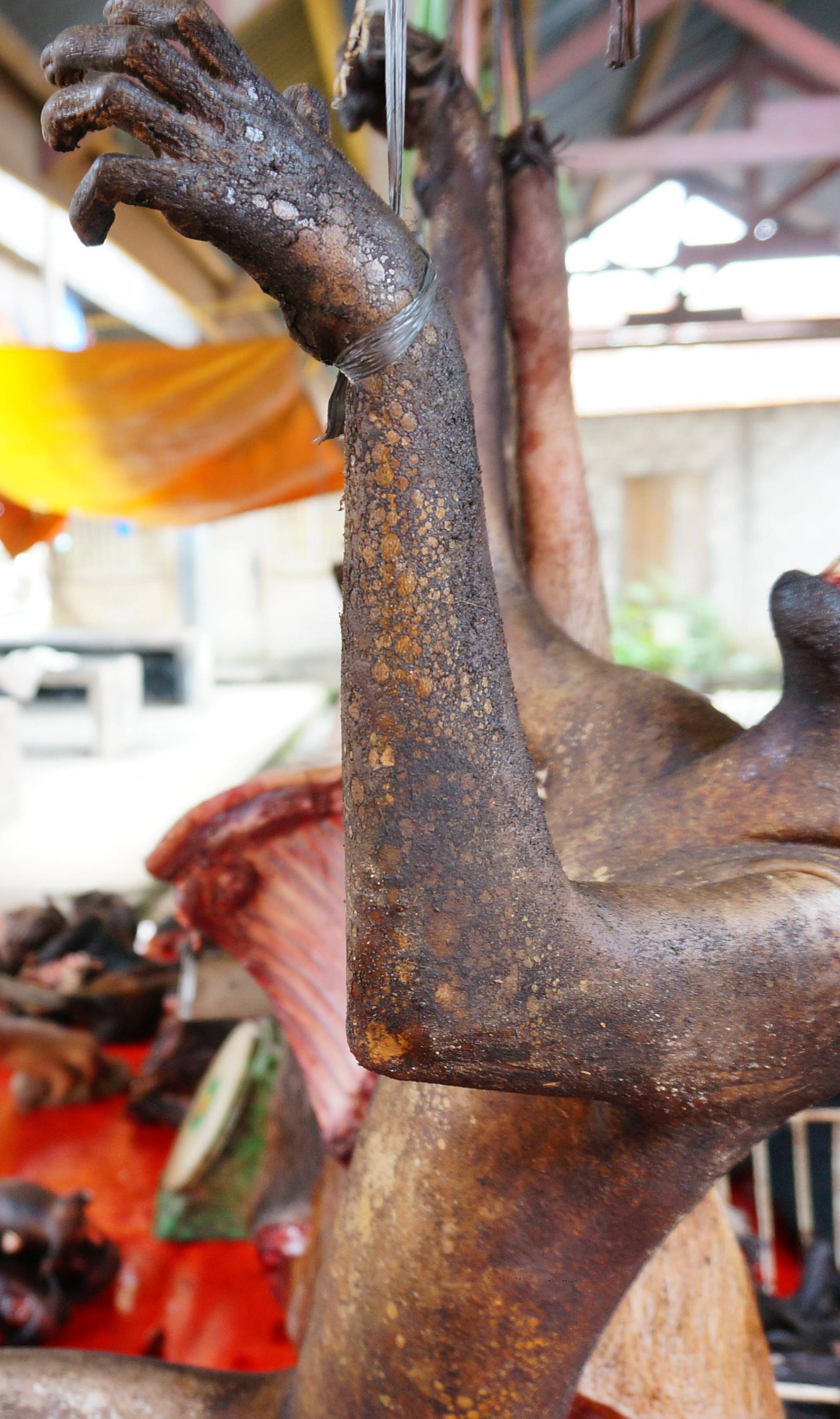 Endangered Animal Meat On Sale In Indonesia
