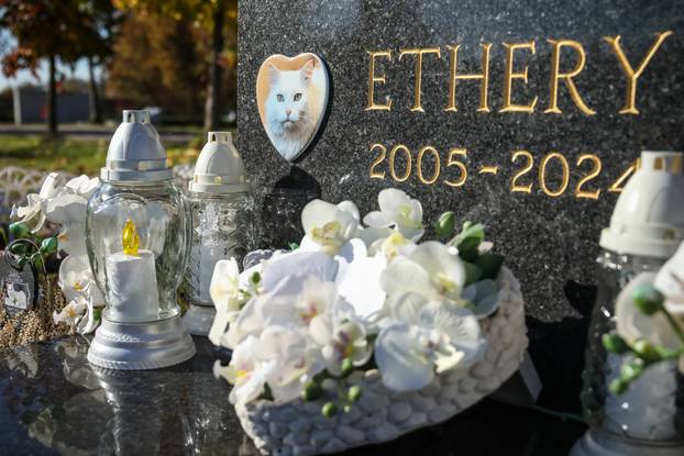 Zagreb: Groblje kućnih ljubimaca u Dumovcu obišao je jedino jedan mačak