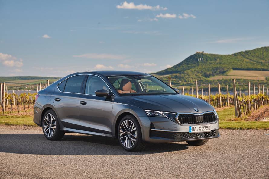 Pogledajte koliko su Kinezi prodali auta u Hrvatskoj prošli mjesec! Iza su Renault, Audi...