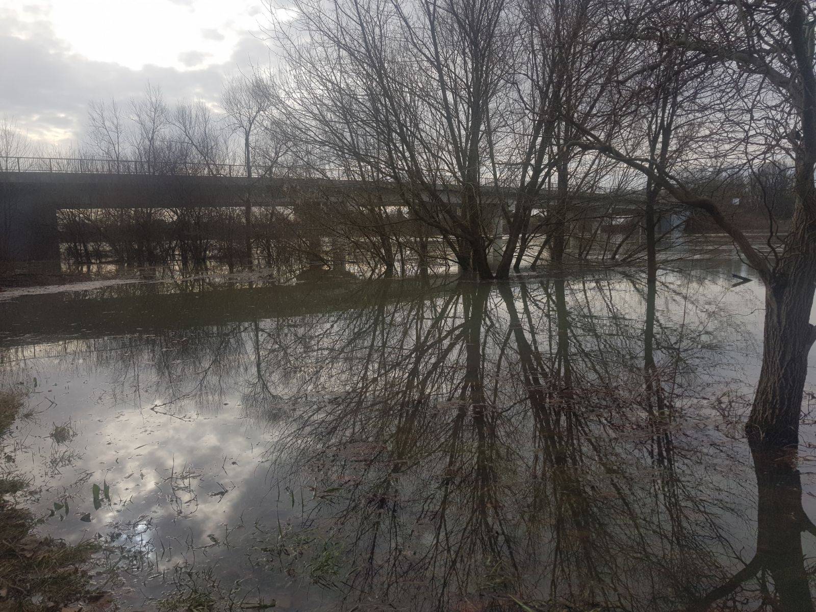 Vodeni svijet: Šarani i štuke im doplivali u dvorište u Pisarovini