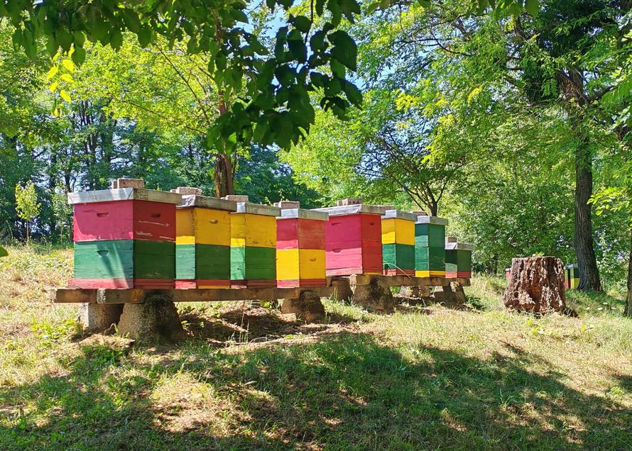 Kaznionica u Lepoglavi ponovno dobila priznanja za vino i med