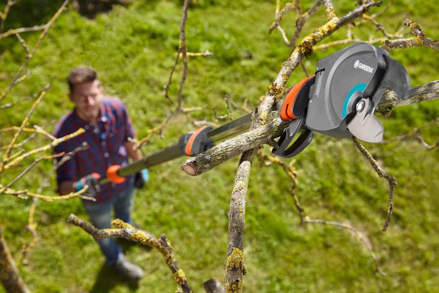 Zdrave i rodne voćke