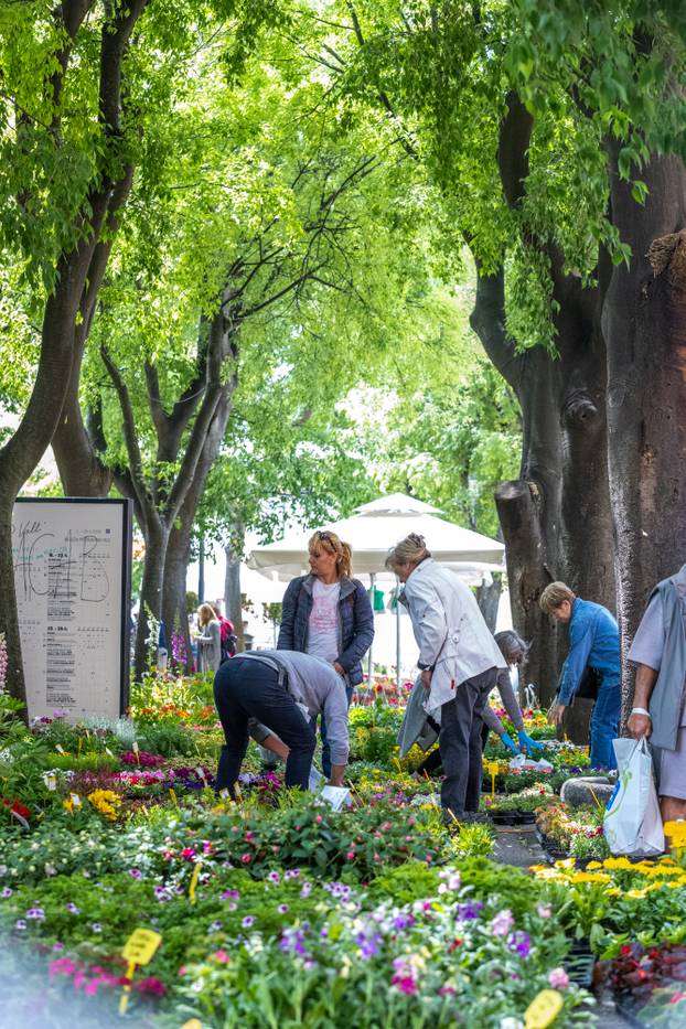 Pula: 17. Florija (sajam cvijca) na Giardinima