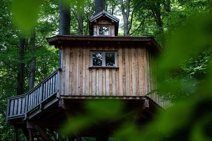 Tree house hotel