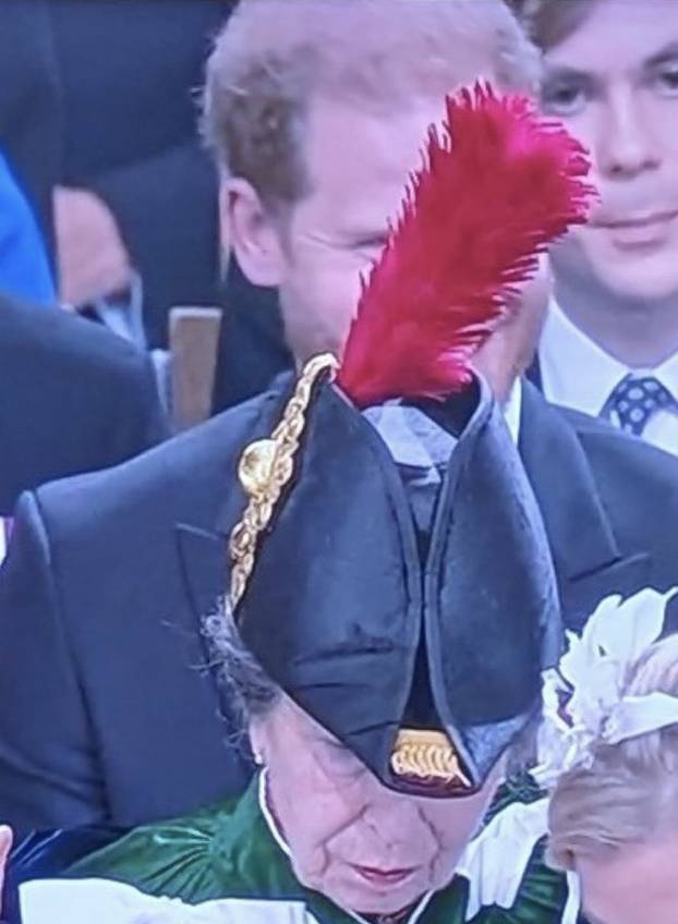 24 urnebesne fotke s krunidbe: Louisa su morali izvesti iz crkve, a Camilla je imala dvojnice...