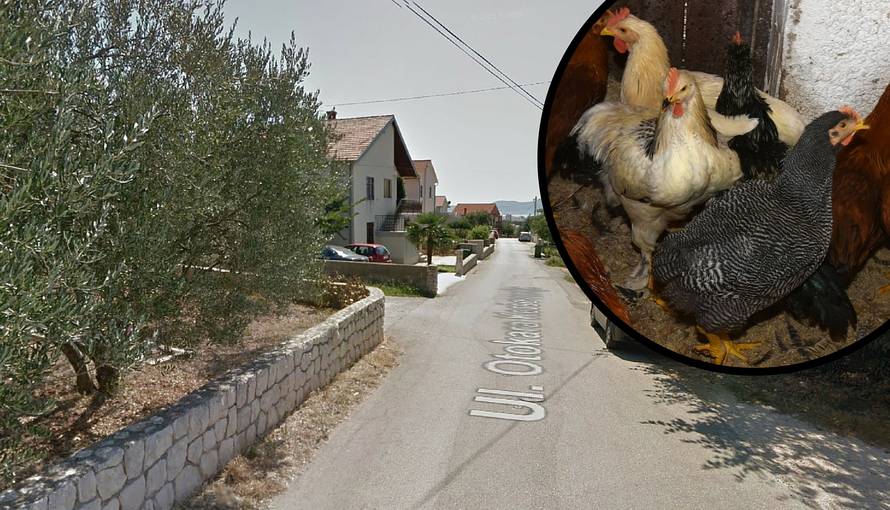 Ženu (42) zatočili u kokošinjcu i pretukli: Slomili joj nos i zub