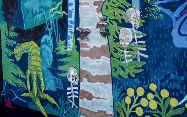 FOTO Grad pretvoren u galeriju: Pogledajte predivne murale na kućama i zgradama u Čačku