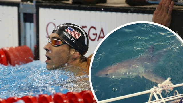 Najteži izazov karijere Phelpsa: Ide u utrku protiv morskog psa