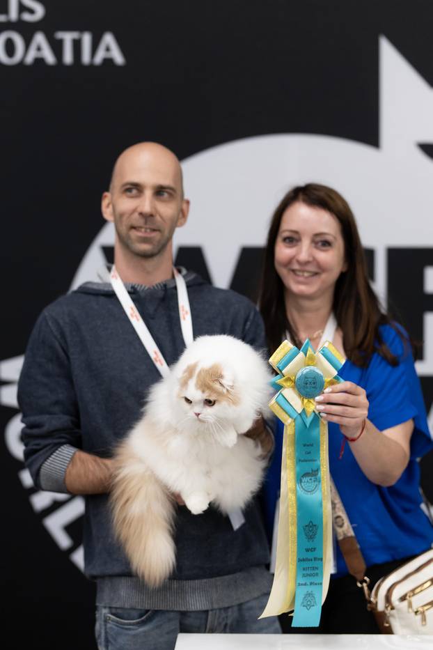 FOTO Velika izložba mačaka u Zagrebu: Predstavljene i jedinstvene modne kreacije