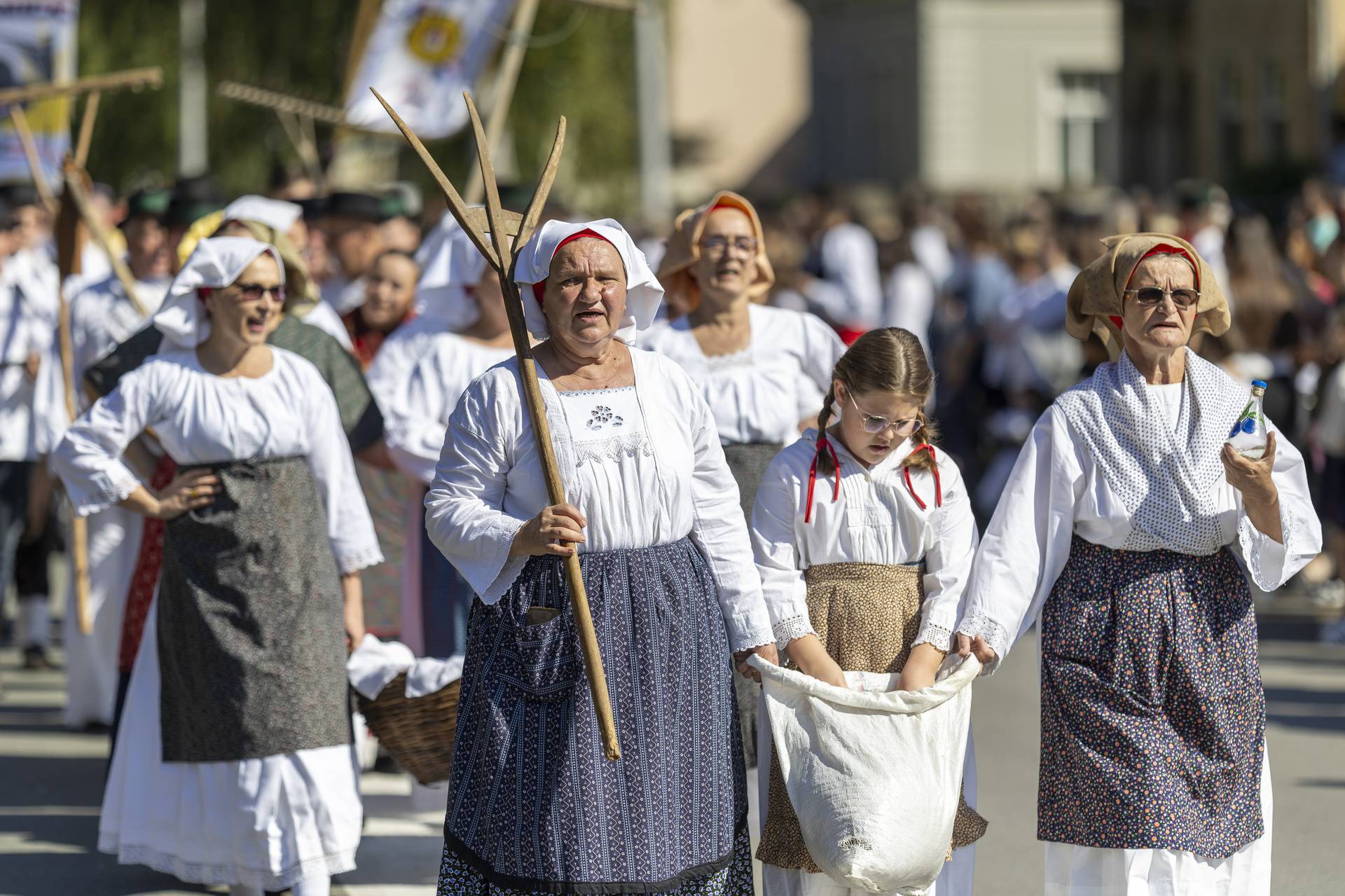 Svečani mimohod sudionika 59. Vinkovačkih jeseni