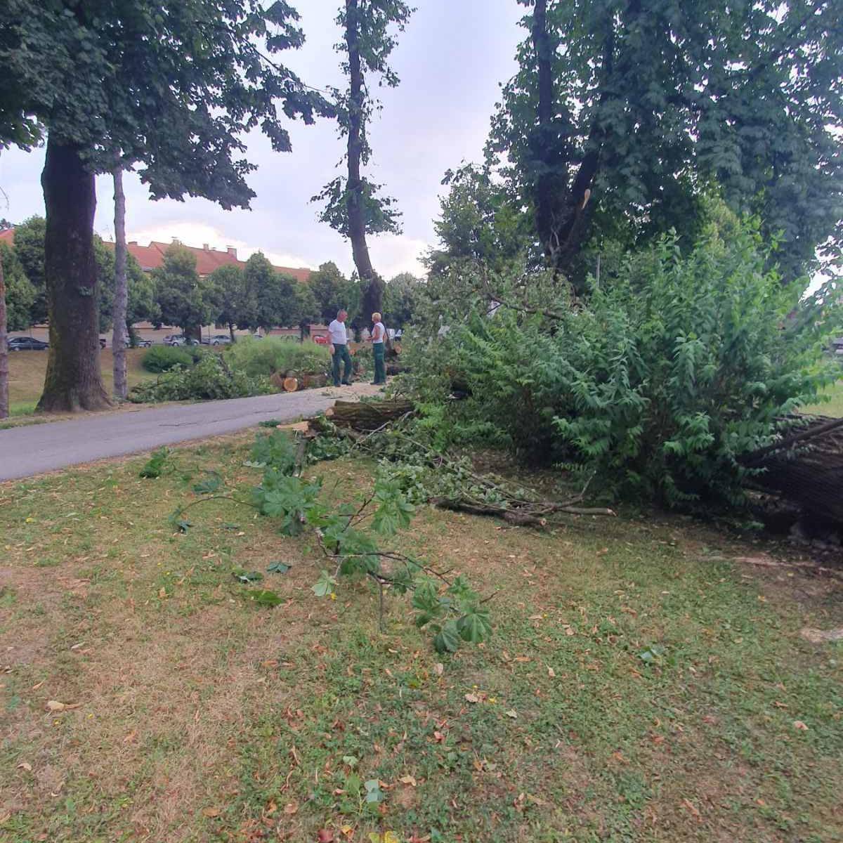 FOTO Nevrijeme u Karlovcu: Jak vjetar u par minuta napravio kaos, porušena brojna stabla