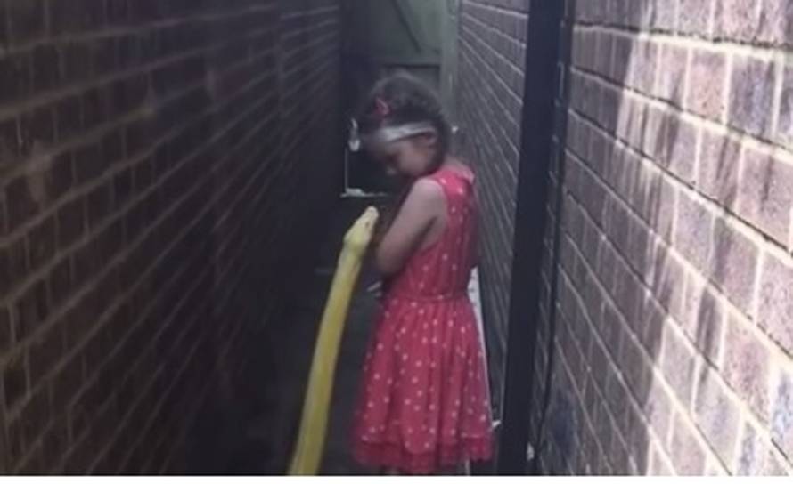 Piton gmiže za curicom (5), a ona ga pogledala i - pomazila...