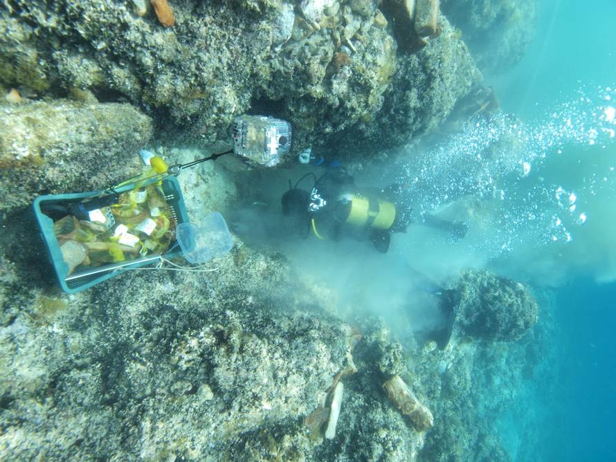 U moru kraj Rovinja pronašli su amfore iz doba Isusa Krista