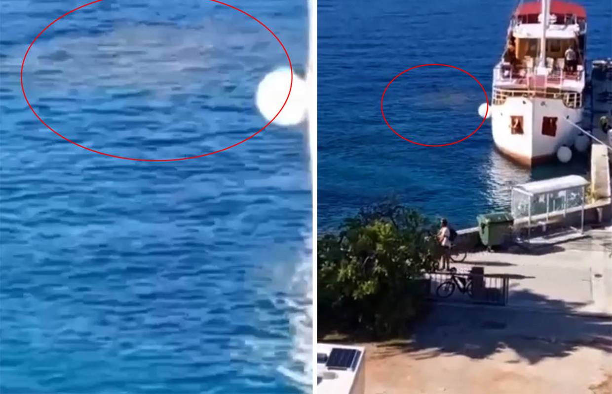 VIDEO Snimili brod na Pelješcu kako ispušta smeđu tvar u more