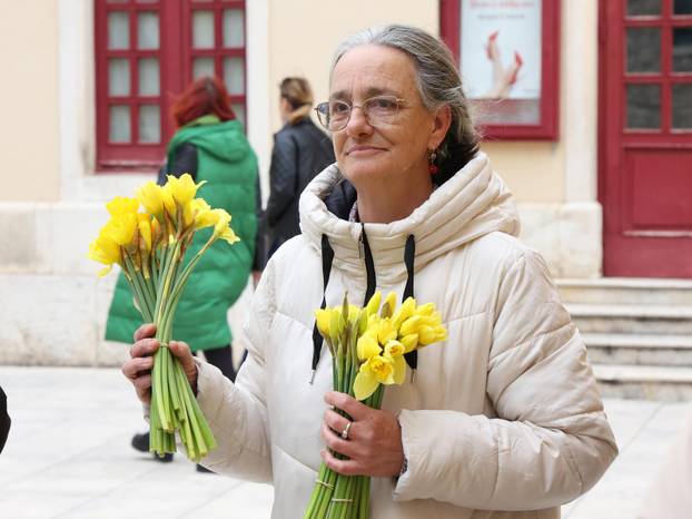 Šibenik: Liga protiv raka Šibensko-kninske županije dijelila narcise