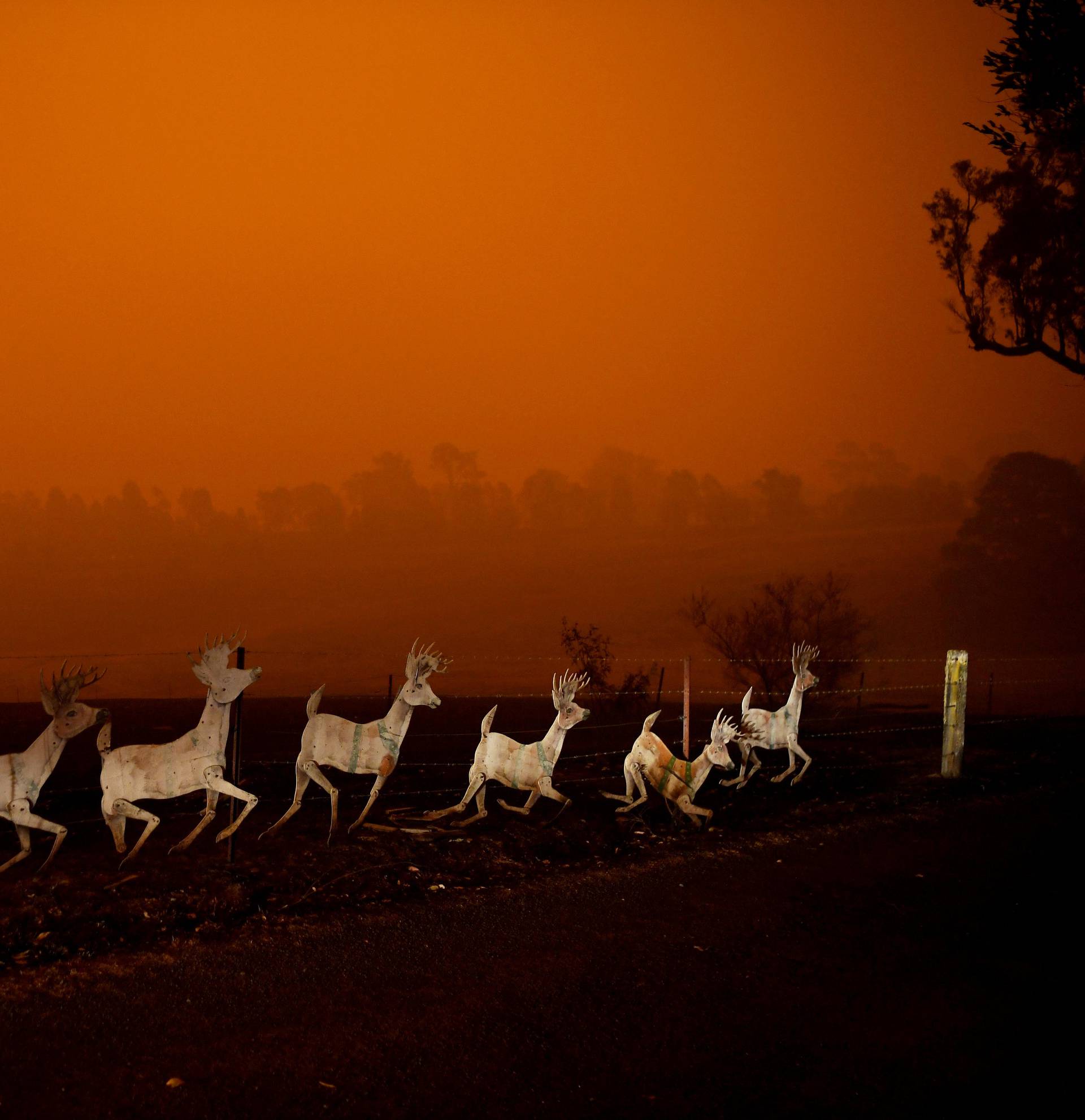 Bushfires in New South Wales