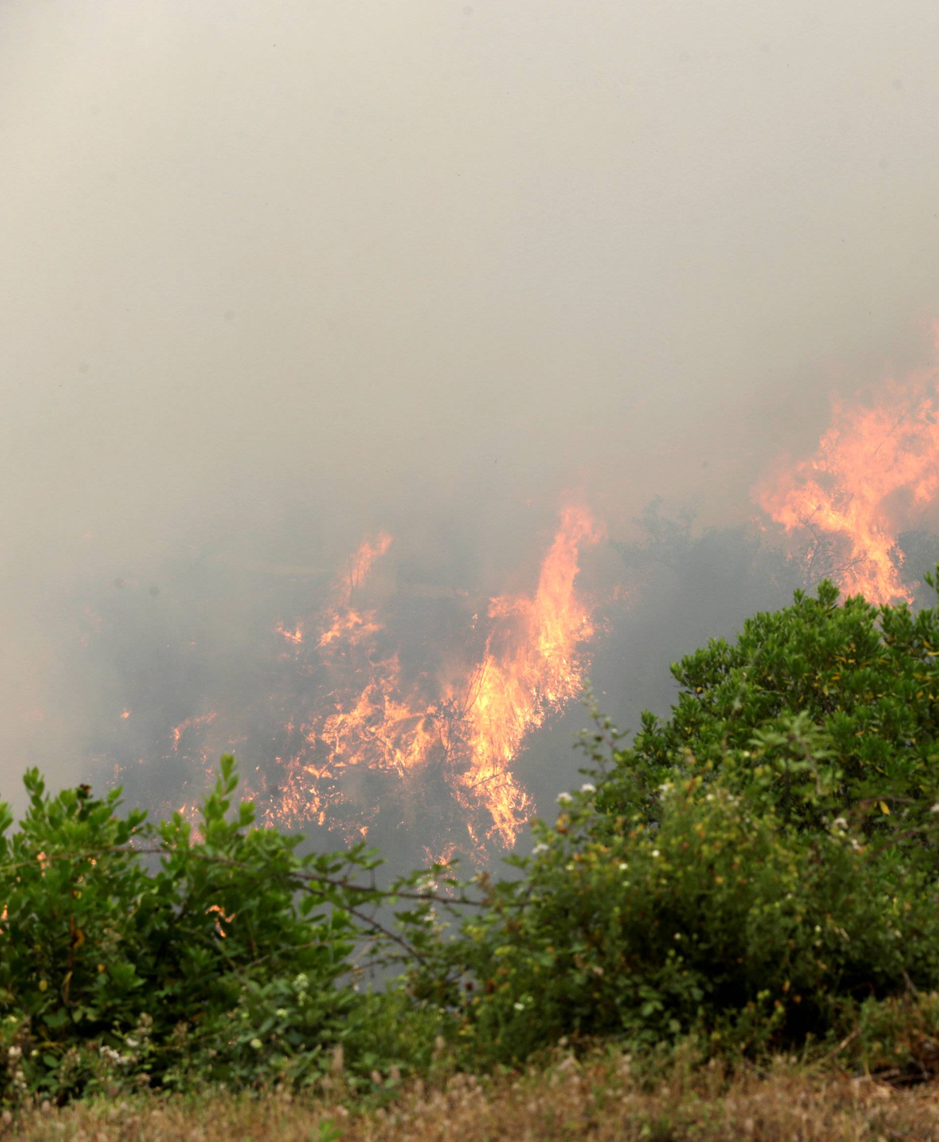 A man looks at fire and smoke during a forest fire in Pedrogao Grande
