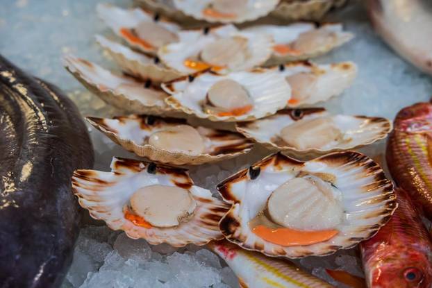 Split: Bogata ponuda ribe petkom u splitskoj ribarnici