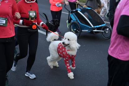 Zagreb: Startao Zagreb Advent Run 2021