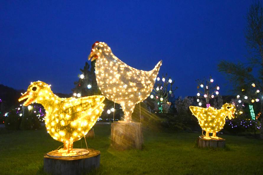 Grabovnica: Uskrsna čarolija svijetla obitelji Salaj