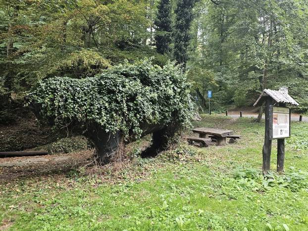 FOTO 20 izletišta u Hrvatskoj koja su na jesen posebno lijepa