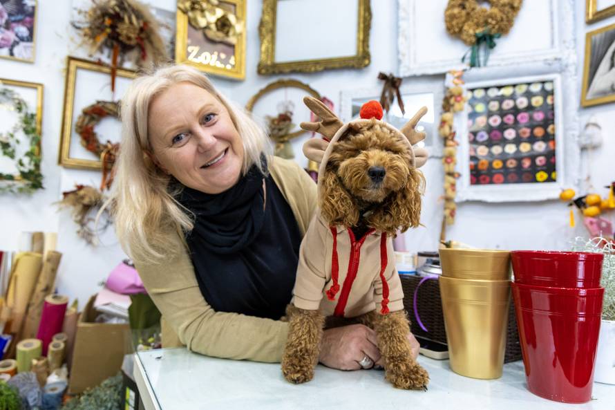 24sata: Pula: Pas pozira ispred cvjećarnice i glumi soba