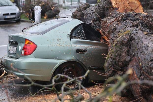 Zagreb: Nevrijeme srušilo stablo koje  je palo na automobil 
