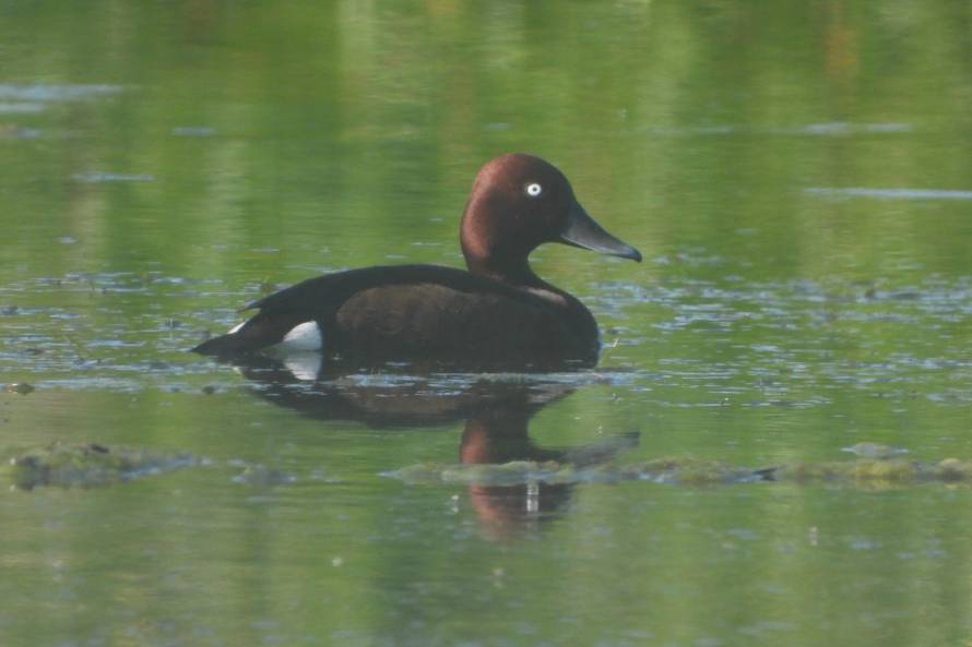 Prijavi se na foto-natječaj i pokaži nam kako Jadran izgleda kroz tvoje oči!