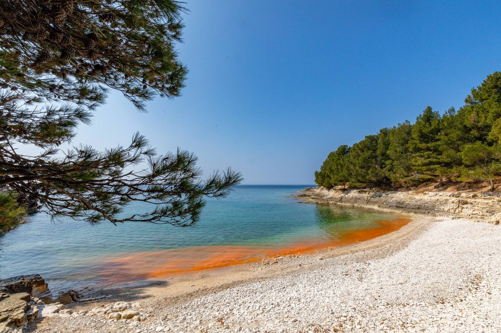 Cvjetanje mora na pojedinim pulskim plažama