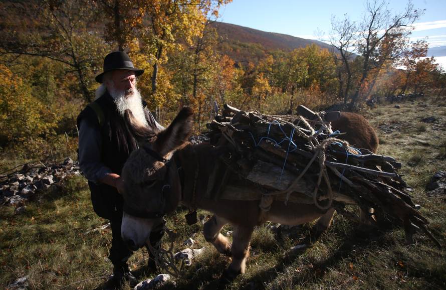 Posljednji pastiri: Ma nema nama do koza, brda i mlijeka
