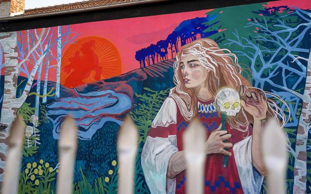 FOTO Grad pretvoren u galeriju: Pogledajte predivne murale na kućama i zgradama u Čačku