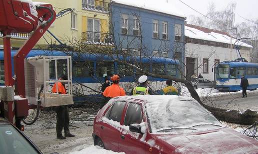 Osijek: Sjekli drvo pa se grana srušila na tramvaj