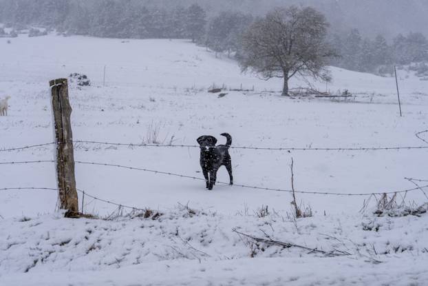 Babin Potok: Zimski uvjeti na državnoj cesti DC 52 Prozor - Vrelo Koreničko