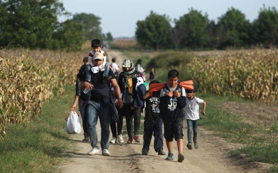 Željko Lukunić/Pixsell