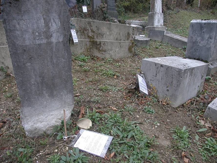 Andreja Thomas/24sata