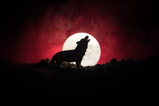 Silhouette of howling wolf against dark toned foggy background and full moon or Wolf in silhouette howling to the full moon. Halloween horror concept.