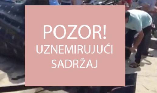 Ogromnom pilom su još živu kitopsinu isjekli na komade