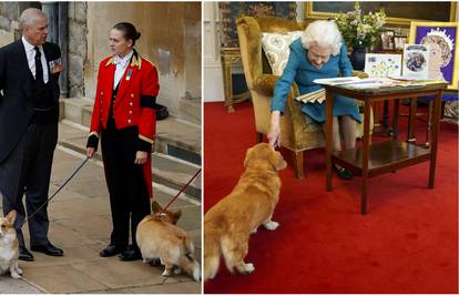 Korgiji pokojne kraljice sada žive na imanju s još pet pasa: 'Oni su naše nacionalno blago'
