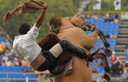 Montevideo: Gauchosi vole jahati samo divlje konje