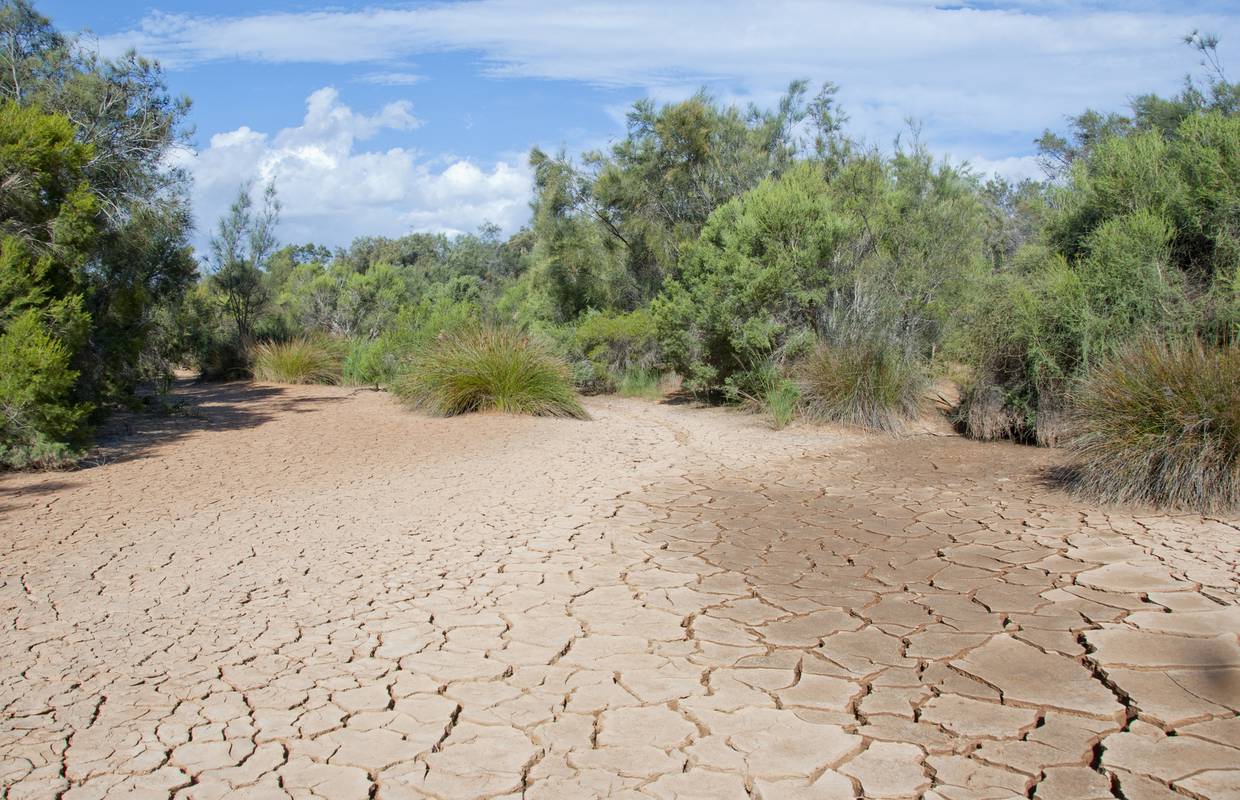 U Međimurju su zbog suše proglasili prirodnu nepogodu