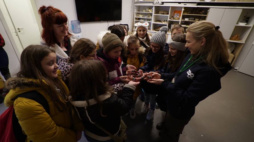 Božićno iznenađenje: Učenici iz Slavonije prvi put u Zoološkom