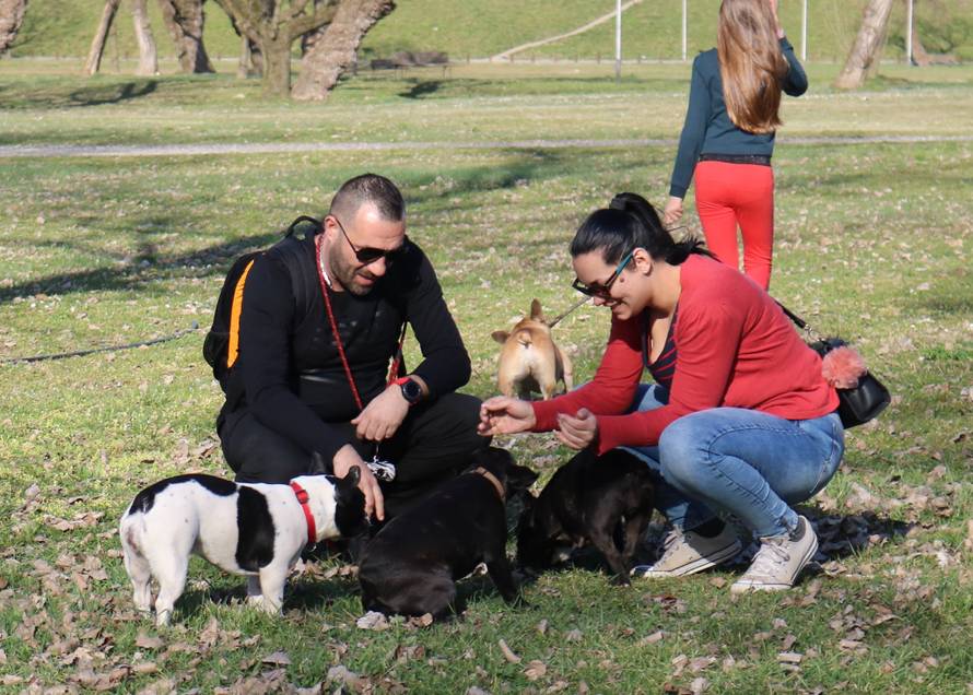 Buldozi će okupirati Hrvatsku: Dođite na proljetnu buldogijadu