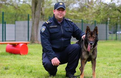 Uspio je!  Pas Arsen će postati policajac, krenuo je na obuku