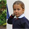 Princeza Charlotte (5) je 'teška' 5 milijardi funti, više nego brat