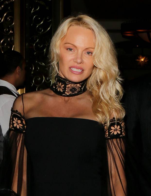 Double Dyed! Pamela Anderson wore her hair in her customary blonde and son Brandon Lee showed off his newly dyed gray locks as they dressed up for Sean Penn