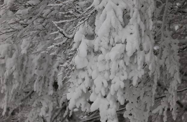 Zagreb: Započela skijaška sezona na Sljemenu 